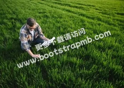 深入了解PG电子游戏世界 - pg电子广东站