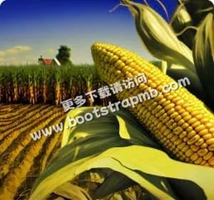 Taking care of the Earth one field at a time - pg电子广东站