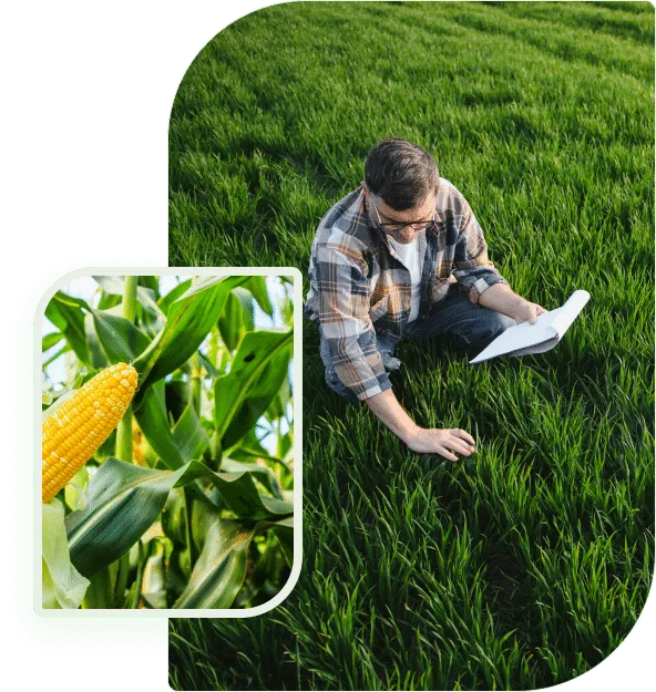 Growing strong feeding farming futures - pg电子广东站