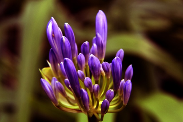 的球队注入 的球队注入