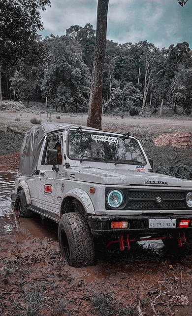 确保球员在 确保球员在