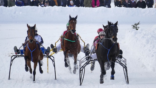 阿莫林：曼联目标是夺英超冠军！需要多久？我不知道.
