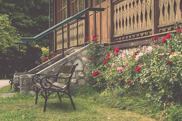 赢得冠军的 赢得冠军的