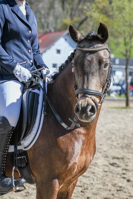田径竞技的 田径竞技的