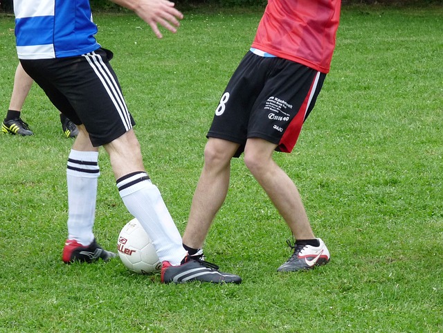 球员和教练 球员和教练